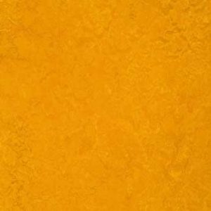312535 golden sunset 2026