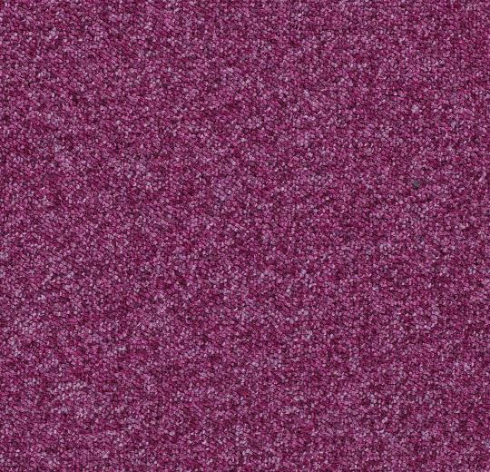 Tessera Basis Karo Halılar 31 374 raspberry 1 2026