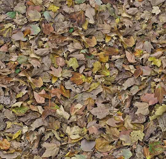 Flotex HD Rulo Halılar 31 000509 Image Autumn Leoves Green 2026