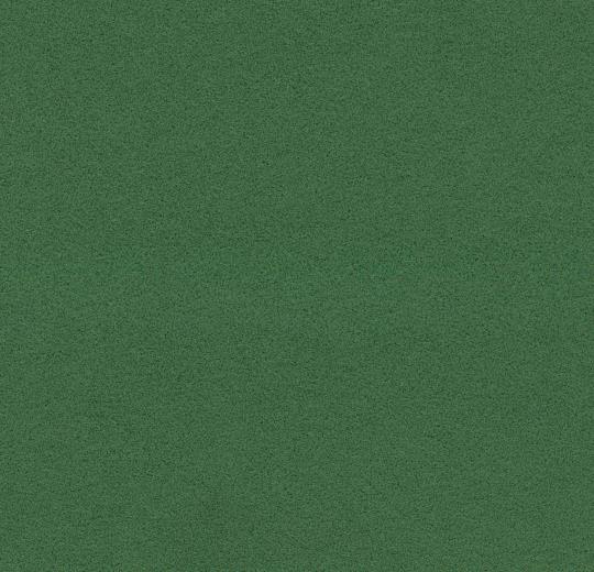 Flotex Bordür Halılar 16 211088 232088 evergreen 2026