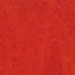 3131 313135 scarlet 2026