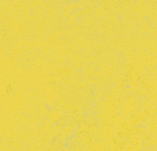 Marmoleum Concrete Linolyum Zemin Kaplama 41 3741 374135 yellow glow 2026