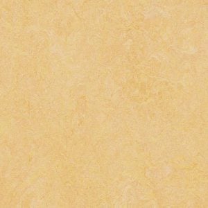 3846 384635 natural corn 2026