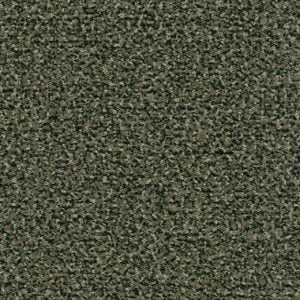 Coral Classic Paspaslar 22 4758 olive 2026