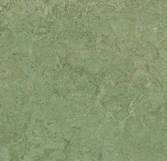 Marmoleum Sport Linolyum Zemin Kaplamaları 10 yeşil