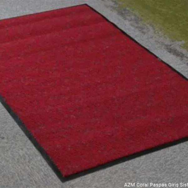 Nem Alıcı Kapı Önü Paspas Brush Fuchsia 5503 (90x155 cm)