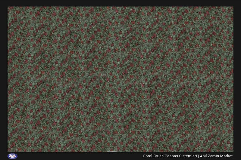 Nem Alıcı Kapı Önü Paspas Brush Dauglas 5508 (90x155 cm)