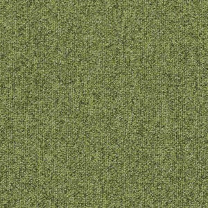 4388 meadow Tessera basis pro karo hali 2026