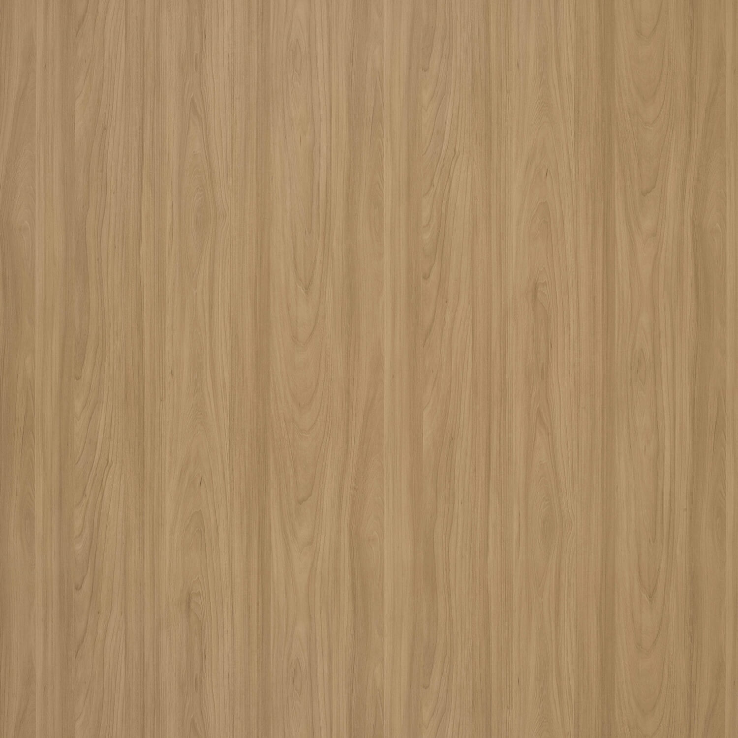 Altro Whiterock Wall Designs Duvar Kaplama 17 9904 Warm Woodgrain Altro Whiterock Wall Designs Duvar Kaplama 2026