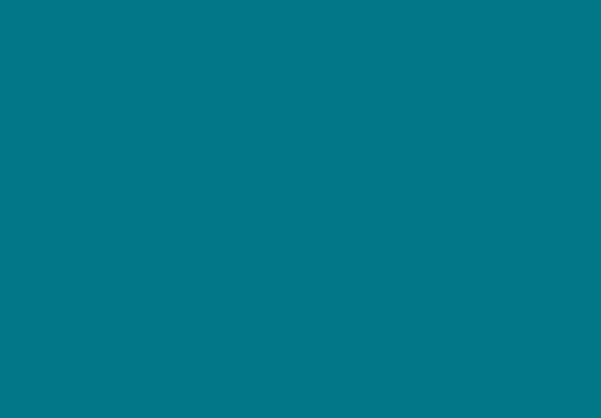 Altro Fortis Titanium Duvar Kaplama 14 Altro Fortis Kingfisher FT213 2026