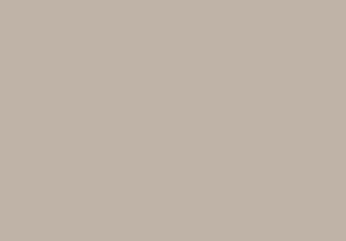 Altro Fortis Titanium Duvar Kaplama 9 Altro Fortis Tan FT206 2026
