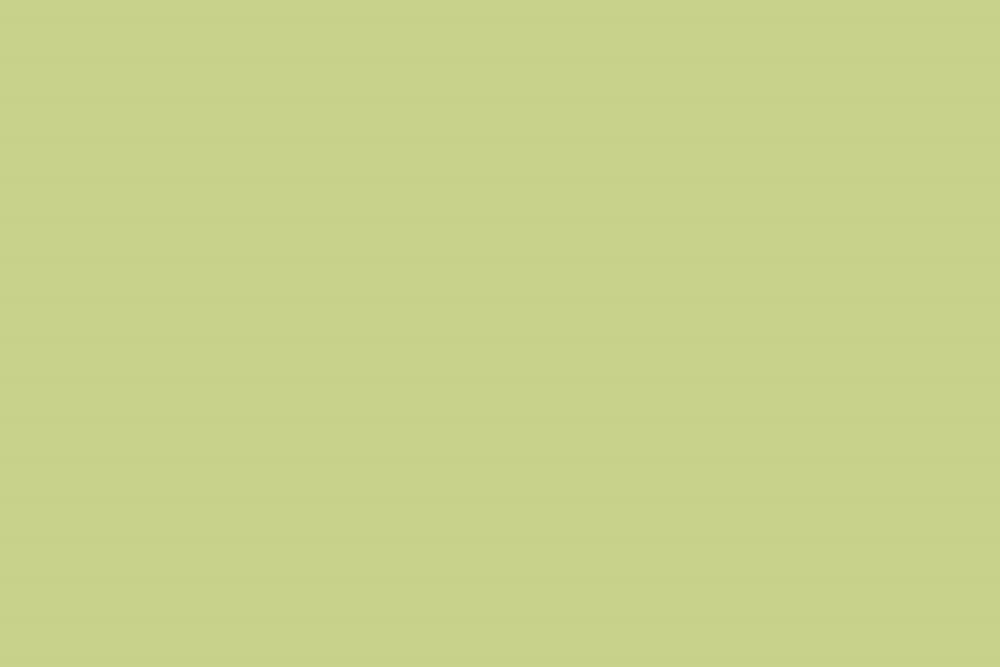 Altro Whiterock Satins Duvar Kaplama 13 Orchard 223 Altro Whiterock Satins pvc vinil duvar kaplama 2026