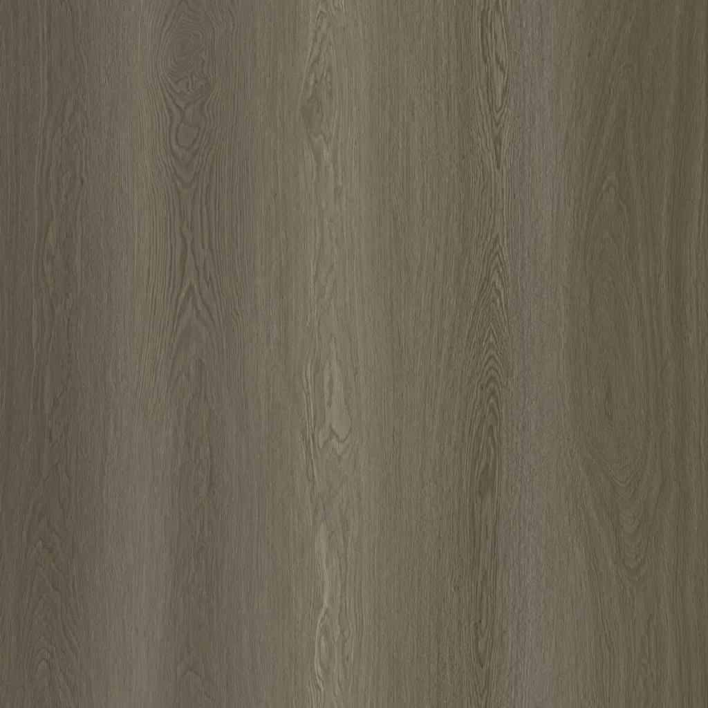 451065 33 2026