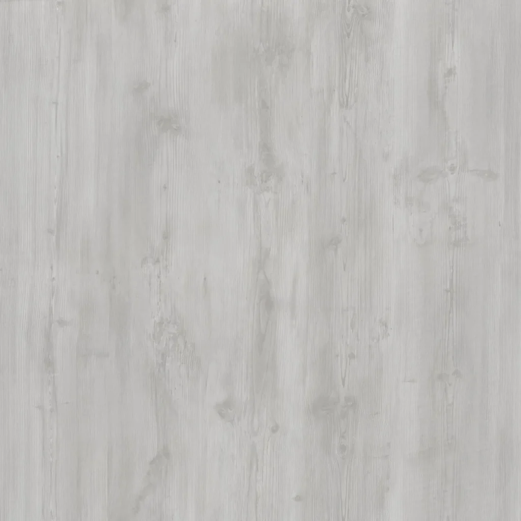 456501 10 2026