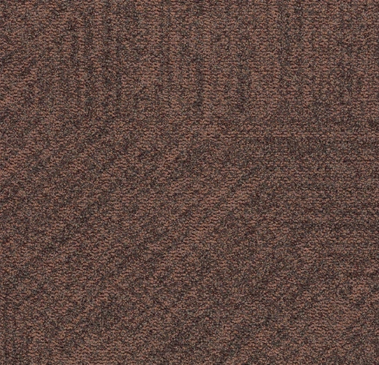 Tessera Topology Karo Halılar 28 4912 pecan path 2026