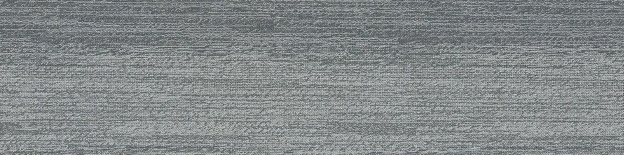 Interface Touch Of Timber Plank Halı 11 Silver Birch 4191005 2026