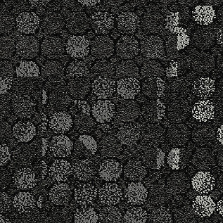 Interface NY+LON Streets (Old - Wheler - Dover - Reade - Mercer - Broome) Karo Halı 64 Black Glass 9440008 2026