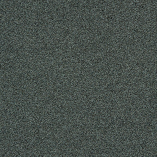 Interface Polichrome Solid & Stipple Karo Halı 51 Caviar 4265003 2026