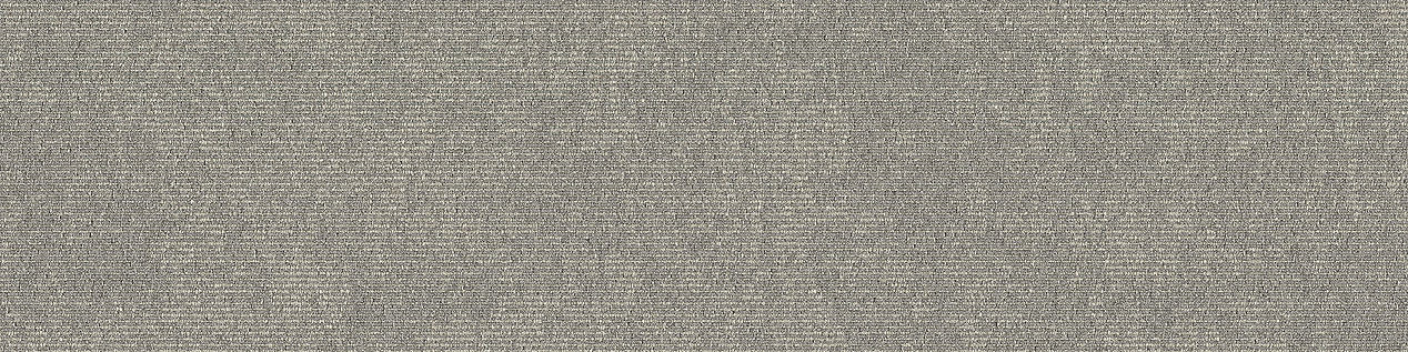 Interface Embodied Beauty Collections Plank Halı 30 Flint 9555001 2026