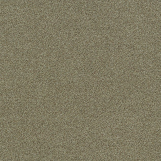Interface Polichrome Solid & Stipple Karo Halı 46 Hemp 4265007 2026
