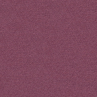 Interface Polichrome Solid & Stipple Karo Halı 19 Malva 4266024 2026