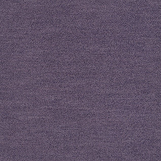 Interface Polichrome Solid & Stipple Karo Halı 8 Viola 4266020 2026