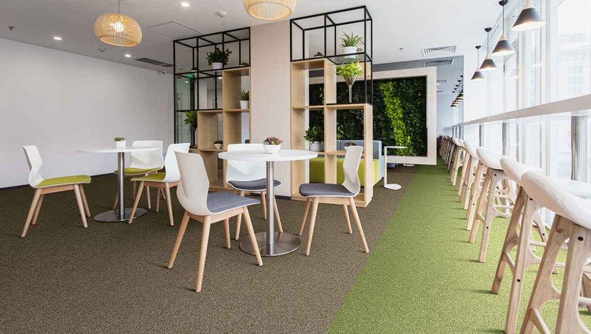 Tessera Basis Pro Karo Halılar 7 AZM 4388 meadow 4378 malt Tessera basis pro karo halı