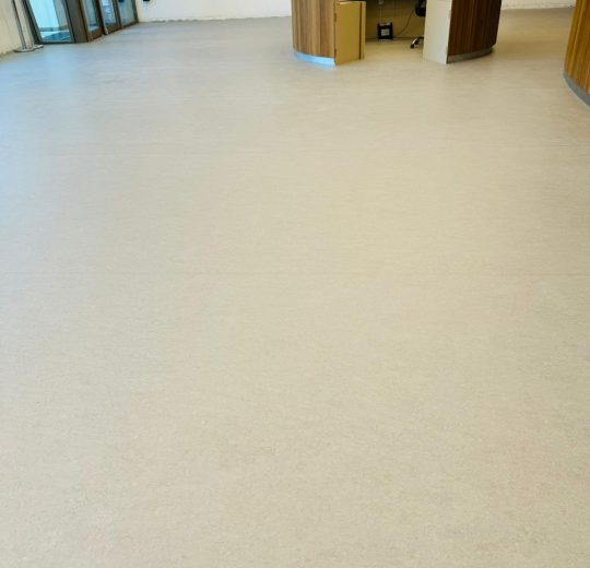 AZM Pearl Linonatura Linolyum Zemin Kaplama 11 Işık okulları florya 2