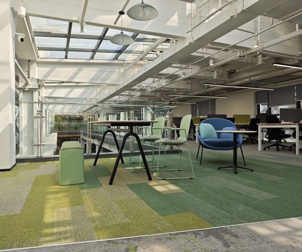 Voxflor Color Sense Plank Halılar ofis halısı 25x100cm