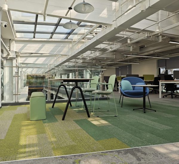 Karo Halı LVT PVC SPC Linolyum Yükseltmiş Döşeme Paspas | Anıl Zemin 23 Voxflor Color Sense Plank Halılar ofis halısı 25x100cm
