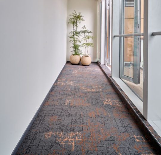 Voxflor Spectrum karo Plank Halı ofis 2025