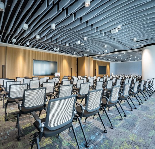 voxflor Spectrum plank halılar 25x100cm Anta ofis halısı